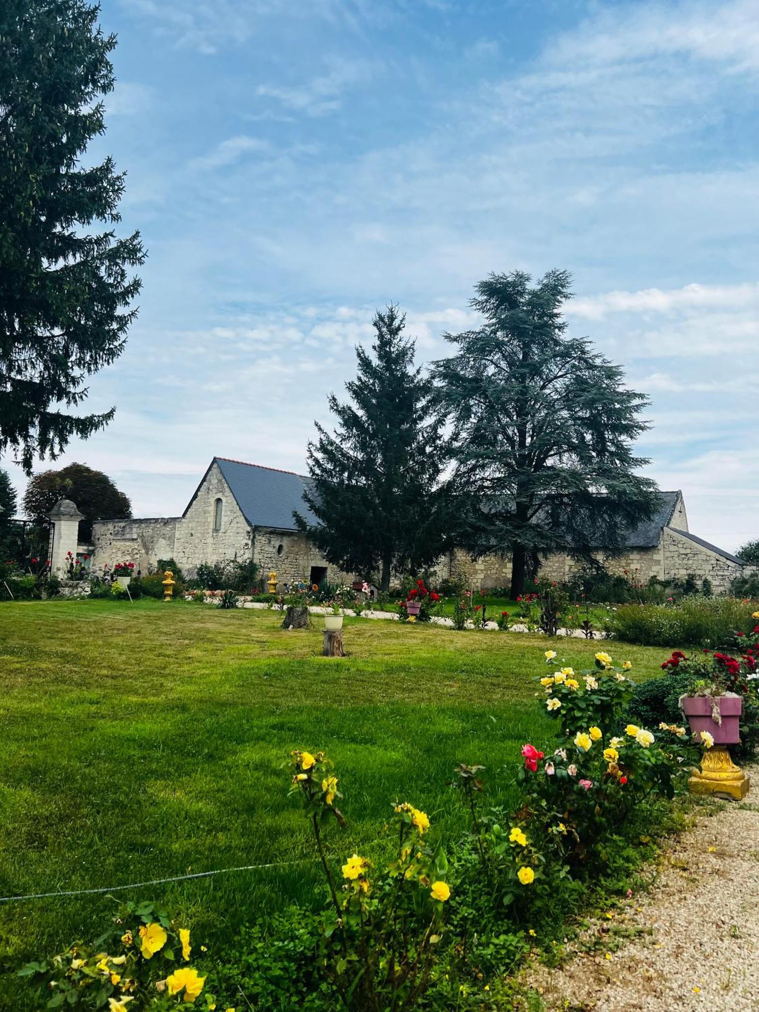 Chateau De La Thibaudiere - Chambre Du Tonneau Allonnes  Bagian luar foto